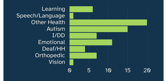 2025-camp-report-all-disabilities-type-chart All student disabilities bar graph. 6 learning disabilities. 1 speech/language disability. 20 disabilities categorized as “other health.” 15 Autism. 7 intellectual or developmental. 11 emotional disabilities. 4 Deaf or Hard of Hearing. 7 orthopedic disabilities. 1 vision disability.