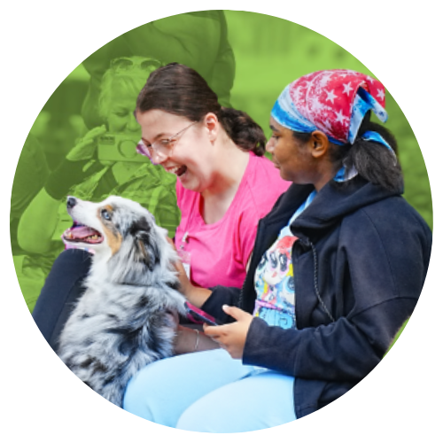 2025-camp-report-purina-dogs Students overjoyed while greeting a very friendly dog with long hair and spots.